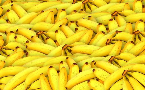 Полиция Италии нашла кокаин на 880 млн долларов, спрятанный в ящиках для бананов