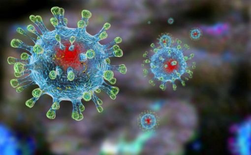 Ученые обнаружили антитело, которое может победить COVID-19