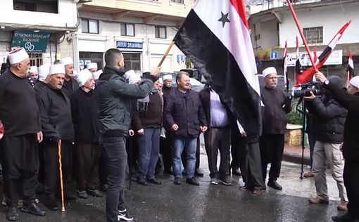 Друзы собрались на Голанах в поддержку Башара Асада