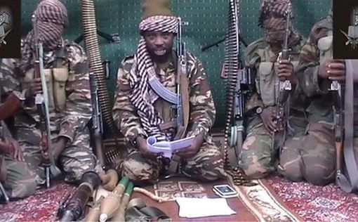 "Боко харам" убили 100 человек в Камеруне