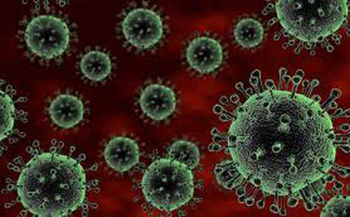 Найдена новая форма коронавируса – опаснее предыдущей