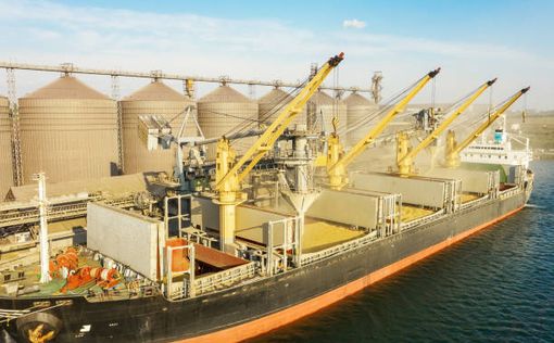 РФ не под силу заблокировать экспорт украинского зерна в Черном море