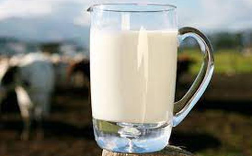 В Японии тонны молока окажутся в канализации