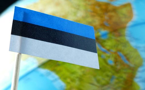 Эстония боится, что Москва будет провоцировать военных НАТО