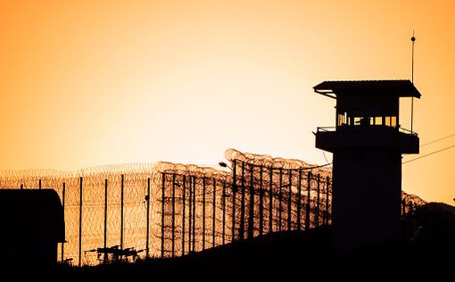 Новая Зеландия: трех израильтян приговорили к 8 годам тюрьмы