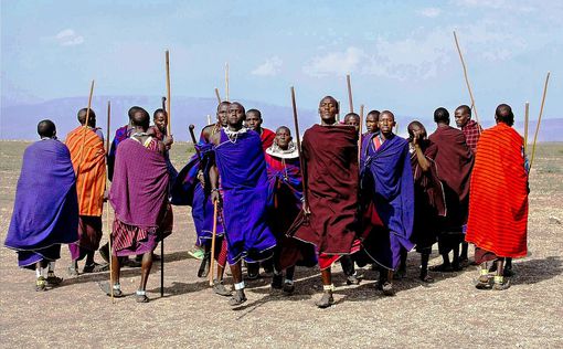 Танзания вытесняет масаи с земель предков, конфискуя их скот