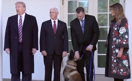 Трамп представил прессе собаку из рейда против аль-Багдади