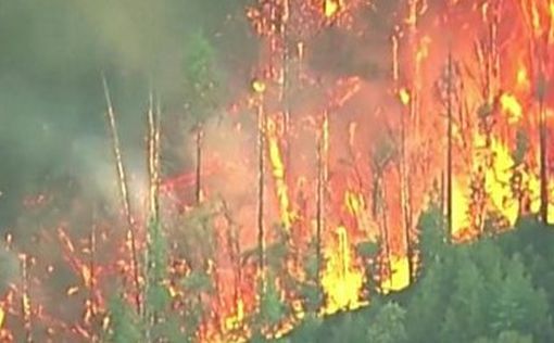 Пожары в Калифорнии: эвакуированы более 6000 человек