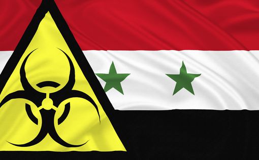 Глава ОЗХО: Сирия может не успеть уничтожить химоружие