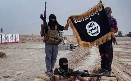 Германия расследует дела в отношении 139 джихадистов ISIS