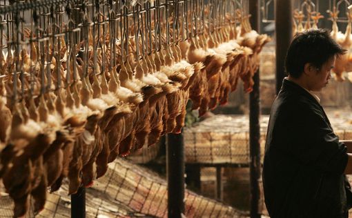 Коронавирус: в Китае запретили торговлю дикими животными