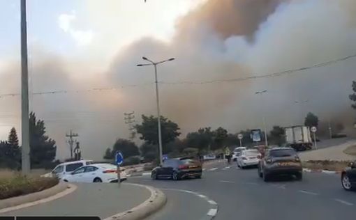 Пожары в Израиле: Нетаниягу созвал экстренное совещание