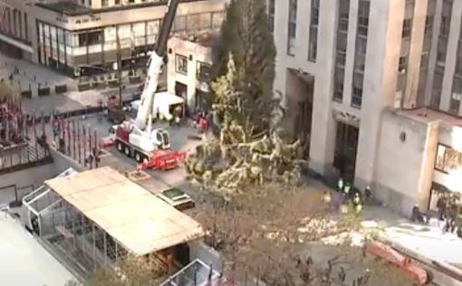 В Нью-Йорке установили 22-метровую рождественскую ель