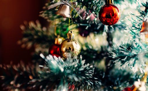 Минск: силовики "украли" новогоднюю елку со двора