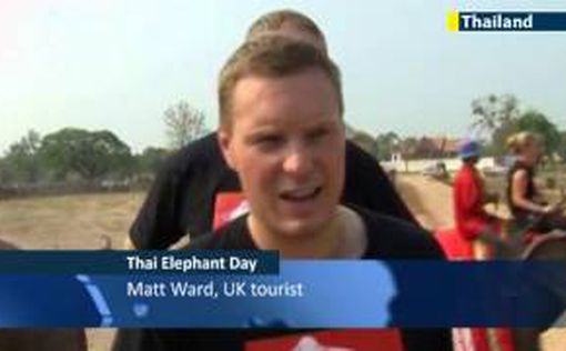 В Таиланде отмечают День слонов