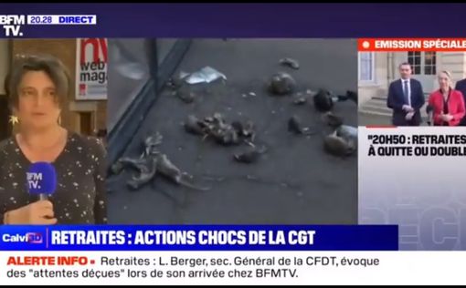 В Париже возобновились протесты: в сторону мэрии “летели” трупы крыс