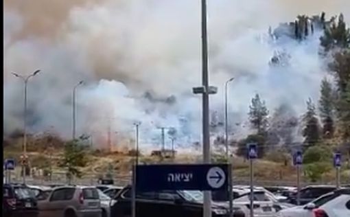 Пожар возле Бейт-Шемеша: горит роща