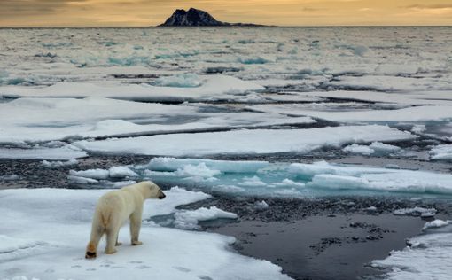 Ученые предрекли планете климатическую катастрофу