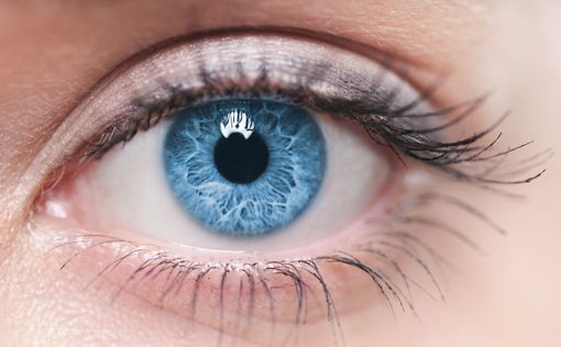Стволовые клетки восстанавливают глаз после повреждений
