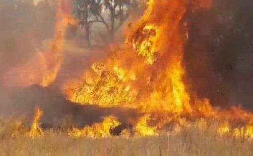 На юге Израиля снова пожар из-за воздушного змея