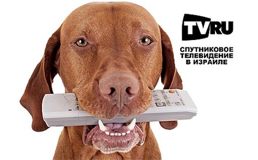 Спутниковое телевидение: смотрите больше, платите меньше!