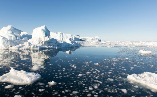 Экологи в шоке: на Северном полюсе плюсовая температура