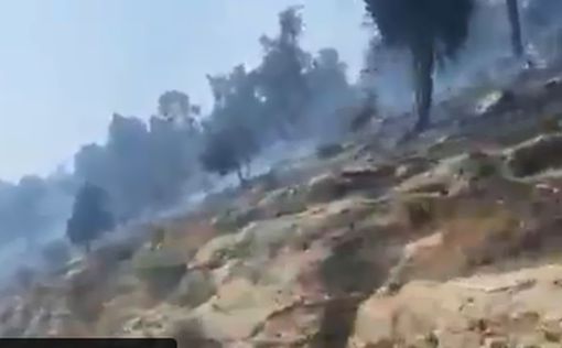 Пожар в Маале-ха-Хамиша: жителям разрешено вернуться домой