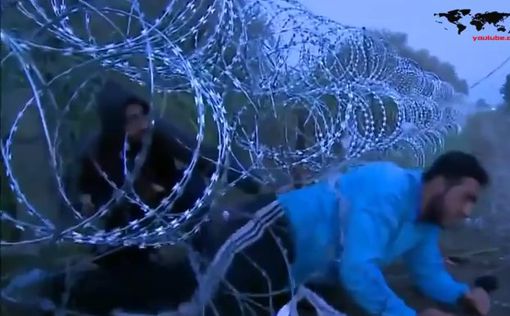 Венгрия отправила к Австрии 11 автобусов с беженцами