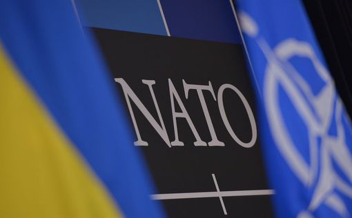 Украина резко ответила на разговоры о вступлении в НАТО в обмен на территории