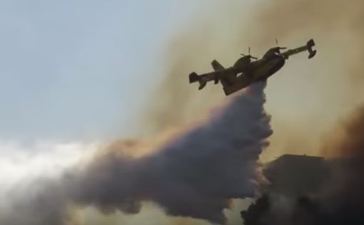 На севере Израиля пожарные борются с огнем