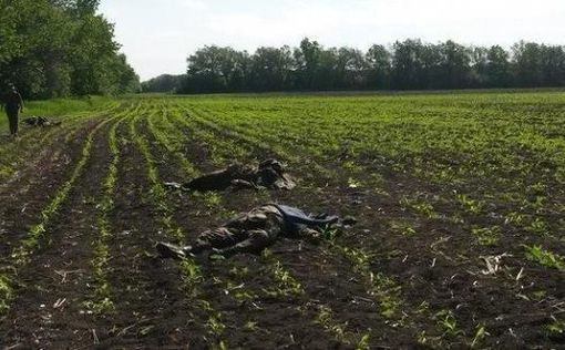 Под Донецком погибло 13 военных