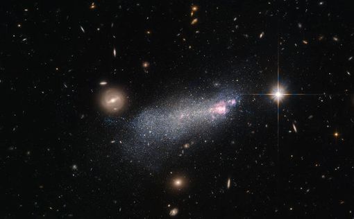 "Хаббл" сфотографировал скопление звезд-однодневок