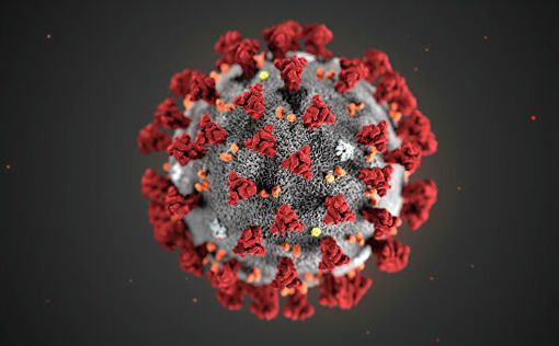 Прорыв ученых: найдено вещество, блокирующее коронавирус