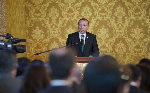 Эрдоган предложил создать зону безопасности в Сирии