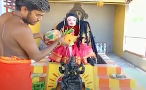 В Индии начали поклоняться богине COVID-19