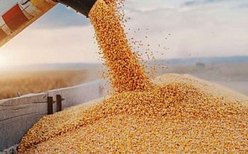 Турция будет предлагать продлить "зерновое соглашение"