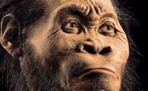 Палеонтологи обнаружили неизвестного предка человека