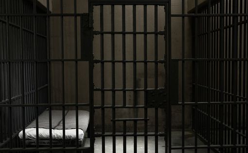 Камнеметатель получил 18 лет тюремного заключения
