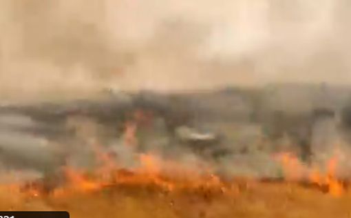 Видео: масштабный пожар возле Ариэля