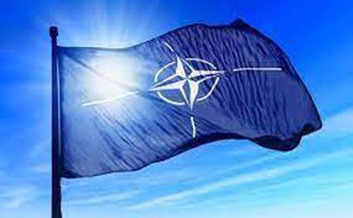 Финляндия отказывается идти в НАТО без Швеции