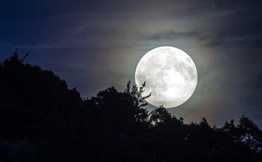 В августе жителей Земли ждет два чуда: суперлуние и голубая Луна