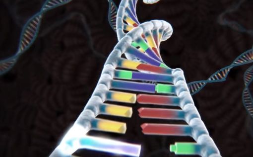 ДНК вируса ВИЧ удалось выделить из живой ткани
