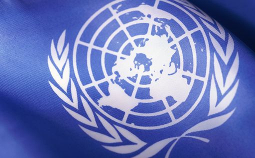 80 правозащитных организаций: исключить Россию из СПЧ ООН