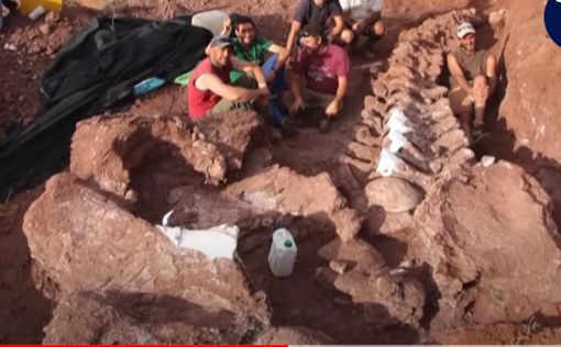 Найдены останки гигантского титанозавра