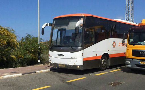 Израиль: два автобуса столкнулись на шоссе №2