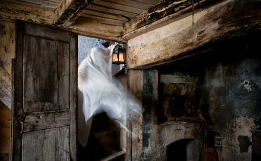 Учёные: Призраки появляются из-за плесени в старинных домах