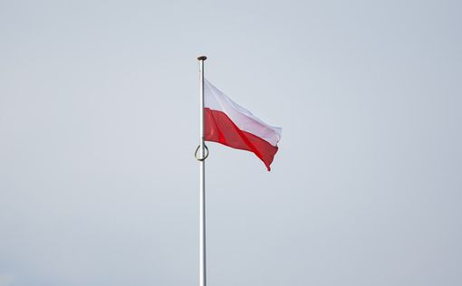 Мигранты более 300 раз за ночь пытались прорваться в Польшу