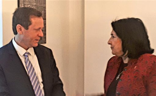 Ицхак Герцог встретился с президентом Грузии