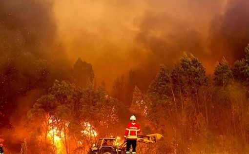 Лесной пожар в Геленджике распространился на 118 гектаров – видео
