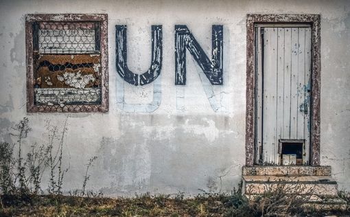 Украинцев будет 15,3 млн – прогнозирует ООН | Фото: pixabay.com